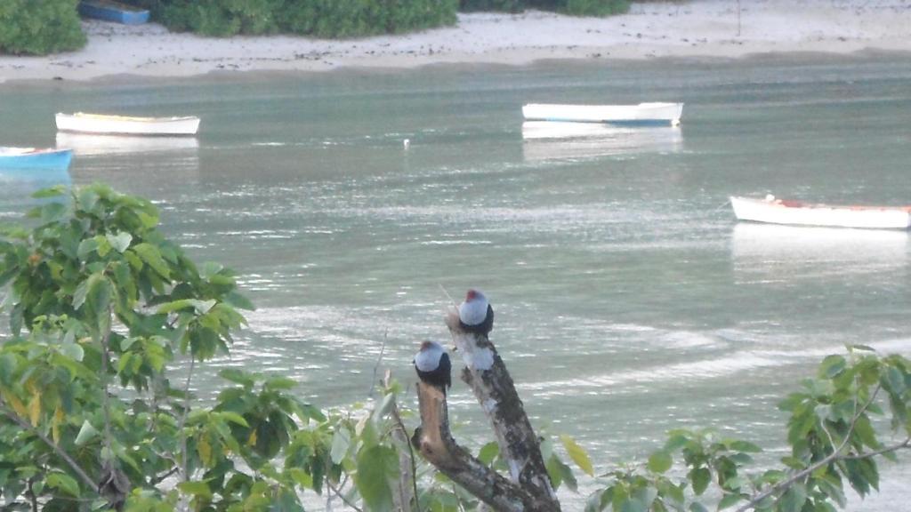 Bayview Villas Seychelles Anse Boileau Eksteriør billede